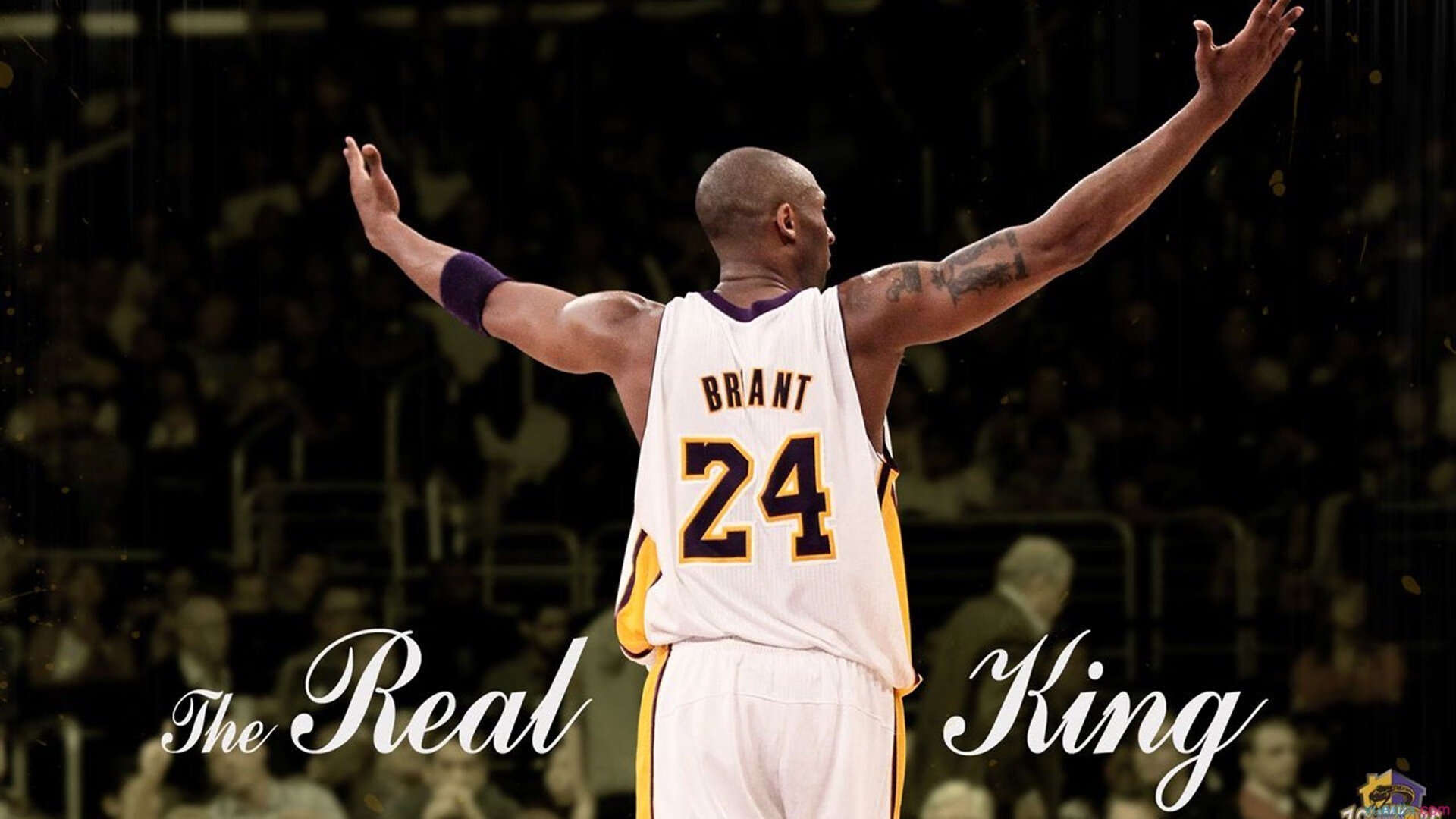 青训主帅是否能具备长期带队耐心，青训主管需要什么属性